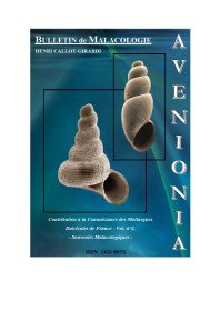 AVENIONIA 2 ( 2017)
